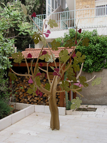 fig tree